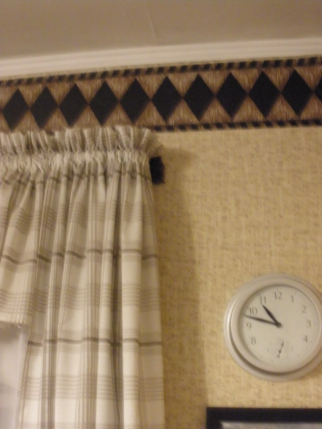 The most recent bat my husband captured, sort of.