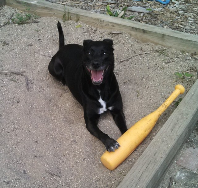 She will play 'til you drop.