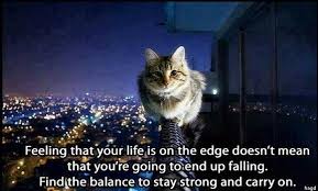 cat balance
