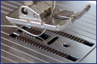 feed dogs under presser foot