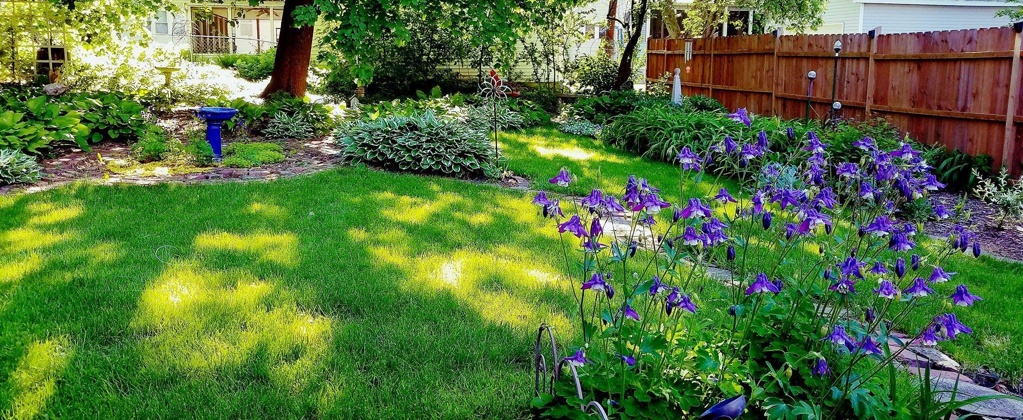 18880170_1320595744660956_6112369540916964411_o