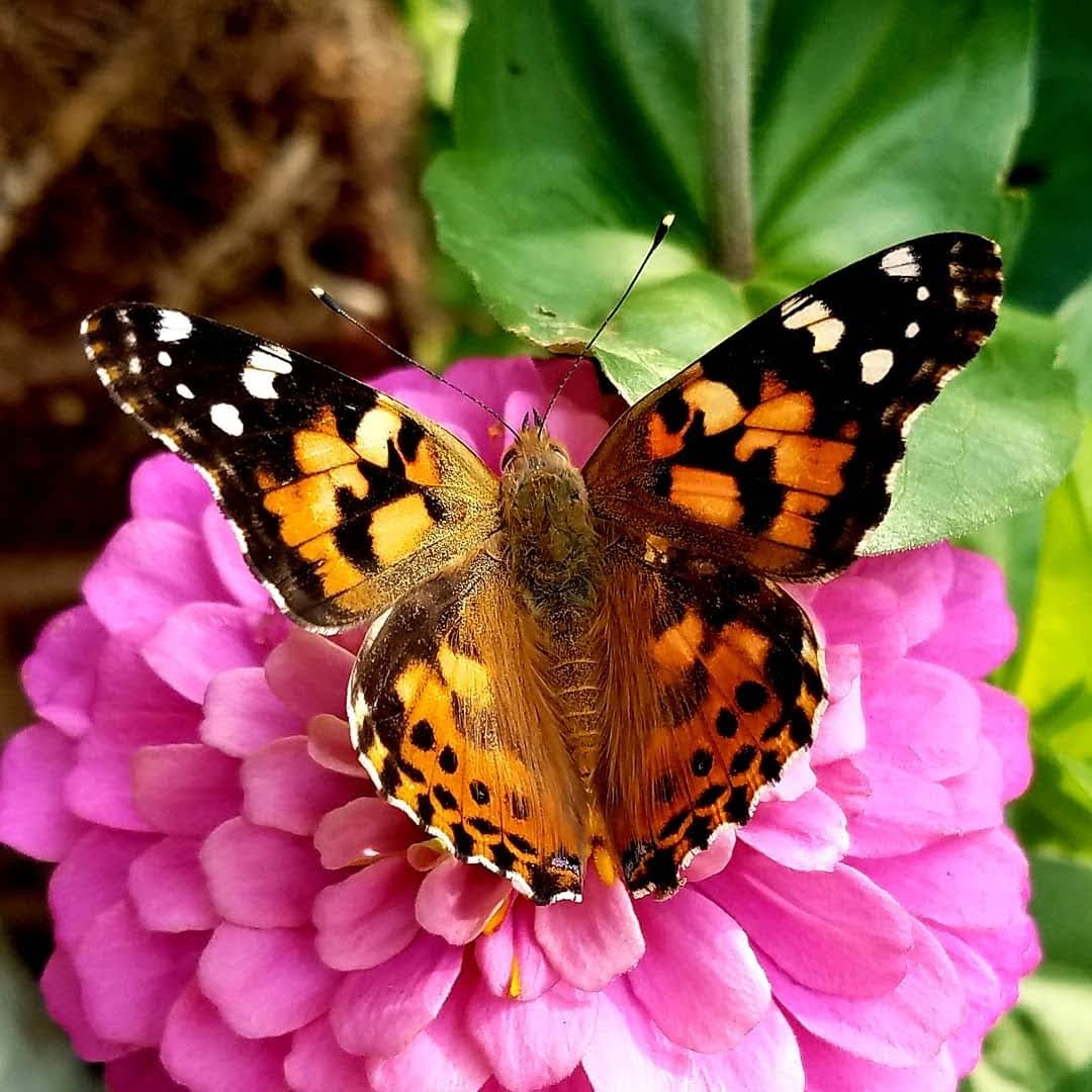 IMG_20200911_194048_978