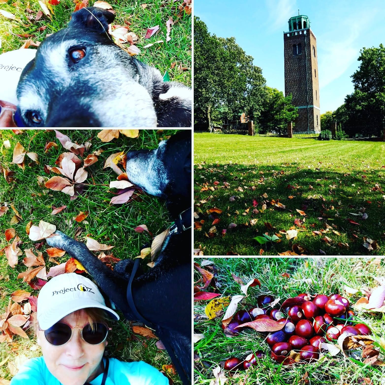 IMG_20200926_125652_891