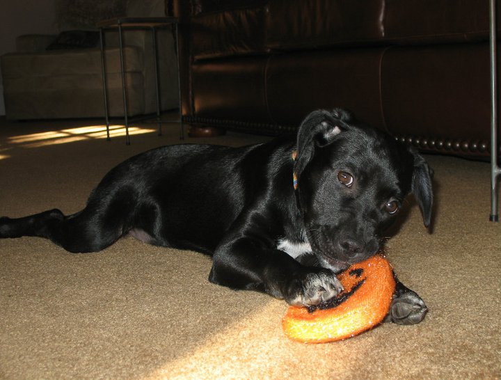 77055_129428773777665_3160850_n